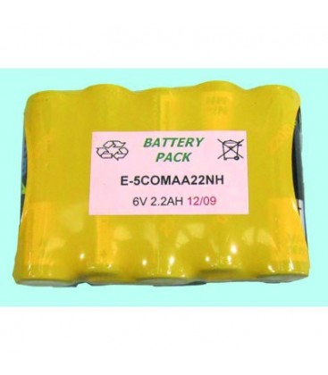 Bateria 5 X Aa Con Lengueta