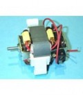 Motor para secador pelo profesional 1000W