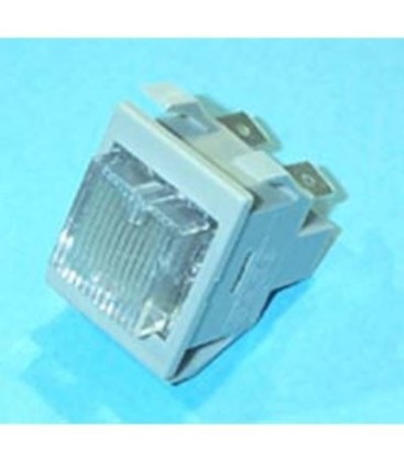 Interruptor principal