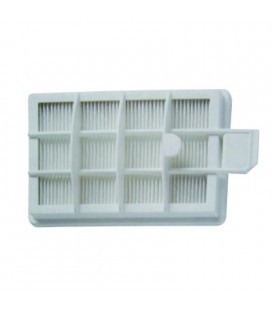 Filtro HEPA aspirador DeLonghi, 5519110141