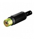 Rca h dorado negro