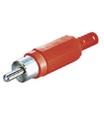Rca macho rojo