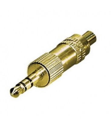 Jack macho 3,5 mm estereo color dorado