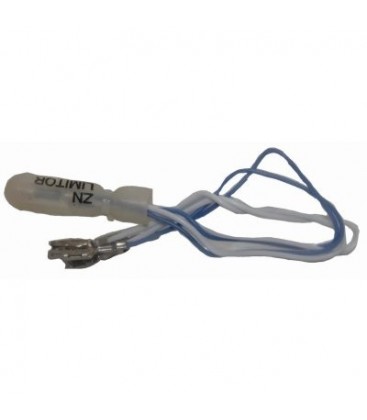 Térmico para motor, sonda horno, 3872079029
