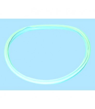 Goma para olla presión Bra Efficient, Alza, Monix 22 cm