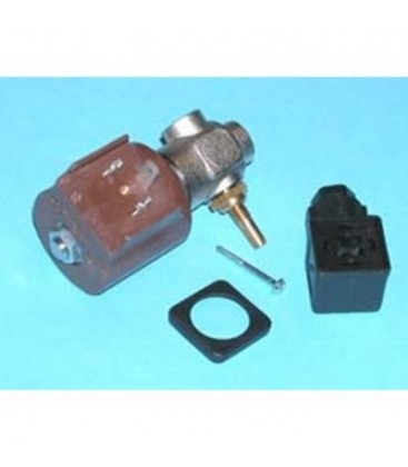 Electrovalvula con regulador planch