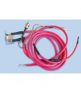 Dispositivo control de gases Junkers 8707206117, termostato 120º