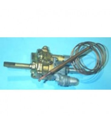 Termostato 044981