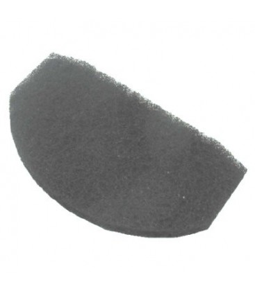 Filtro carbono S48 aspirador hoover