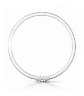 Tubo circular led 22W color Philips diámetro 18 cm