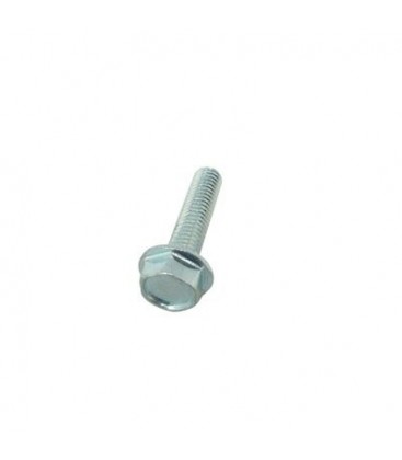 Tornillo especial para cafetera Saeco 129680802