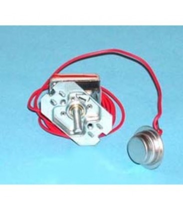 Termostato Lavadora Zanussi 1245807100